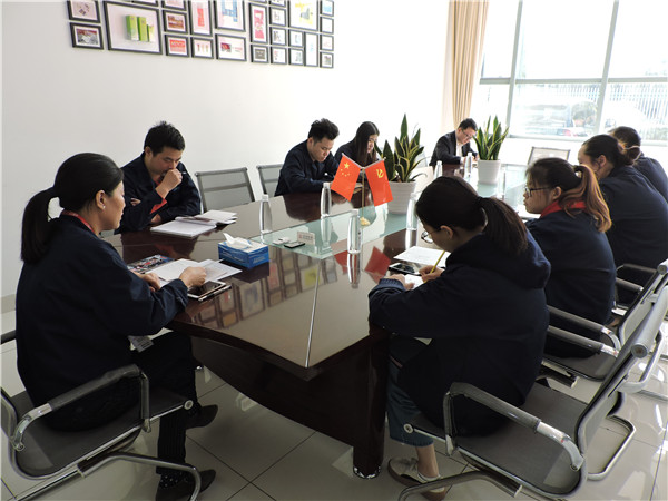 學(xué)黨史表先進(jìn)主題黨日活動